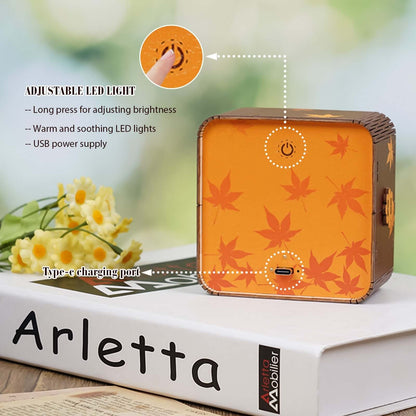 3D Wooden Puzzle Night Light, DIY kits for adults